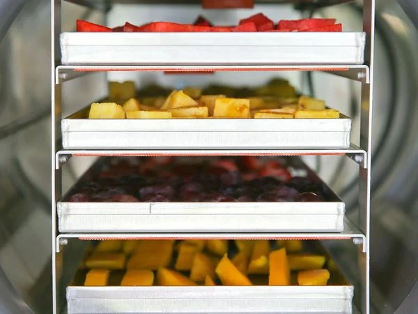 freeze dryer small_