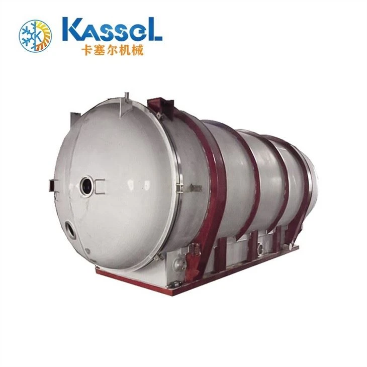 Economical Lyophilizer For Freeze Dried Food