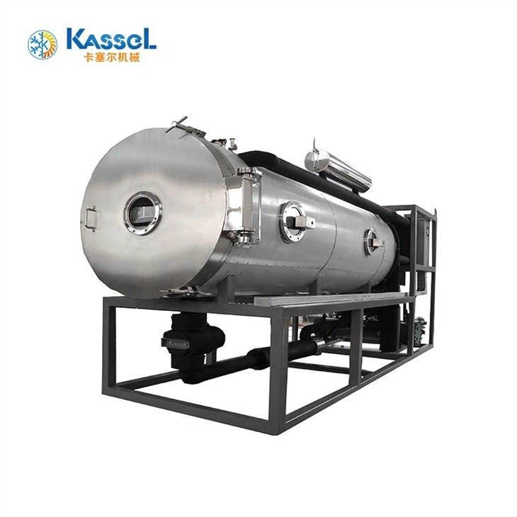 Vacuum Freeze Dryer manufacturers